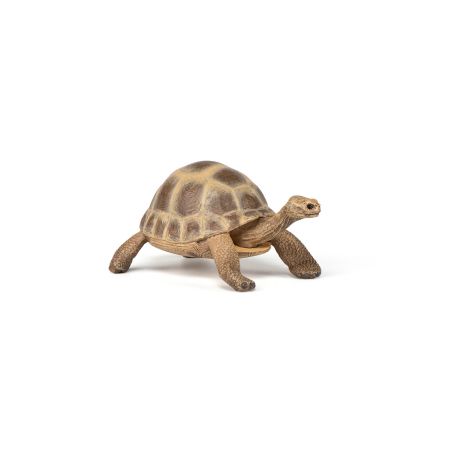 Фигурка шипоопашата костенурка