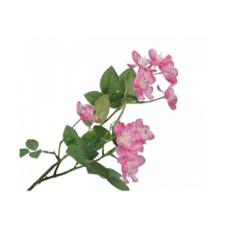 Декоративно растение Вишна - розово