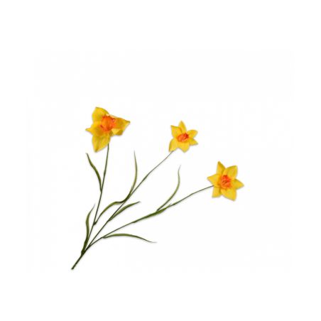 Декоративно растение Нарцис - жълто