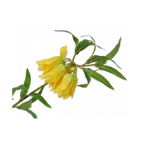 Декоративно растение Фритилария - жълто