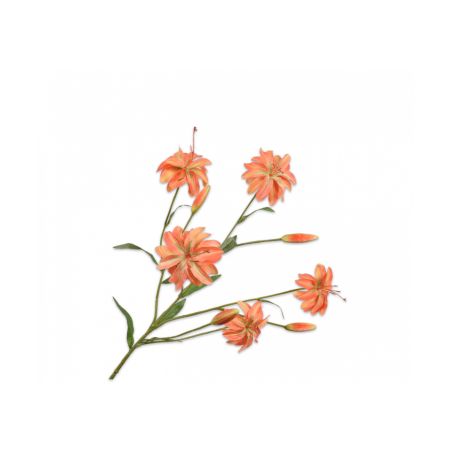 Декоративно растение Лилиум - оранжево