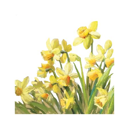 Салфетка 25см 25см 20бр Daffodils