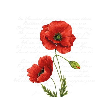 Салфетка 25см 25см 20бр Proud poppy