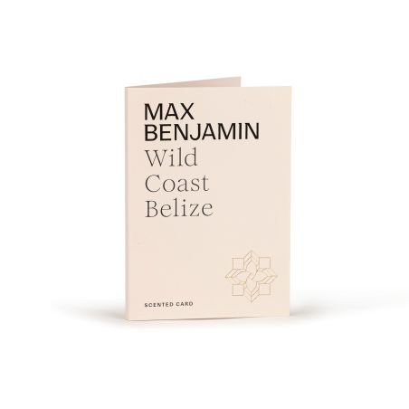 Ароматизатор картичка Wild coast Belize