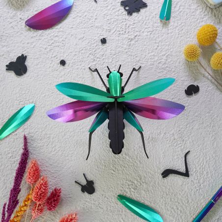 3d модел за сглобяване щурец