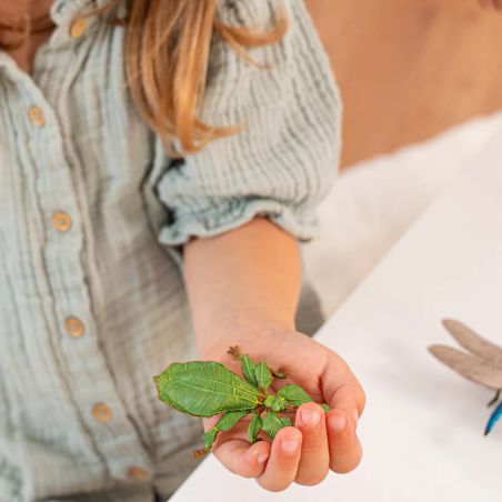 Фигурка насекомо пръчица