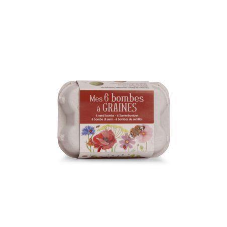 Комплект от 6 яйца със семена Moulin Roty